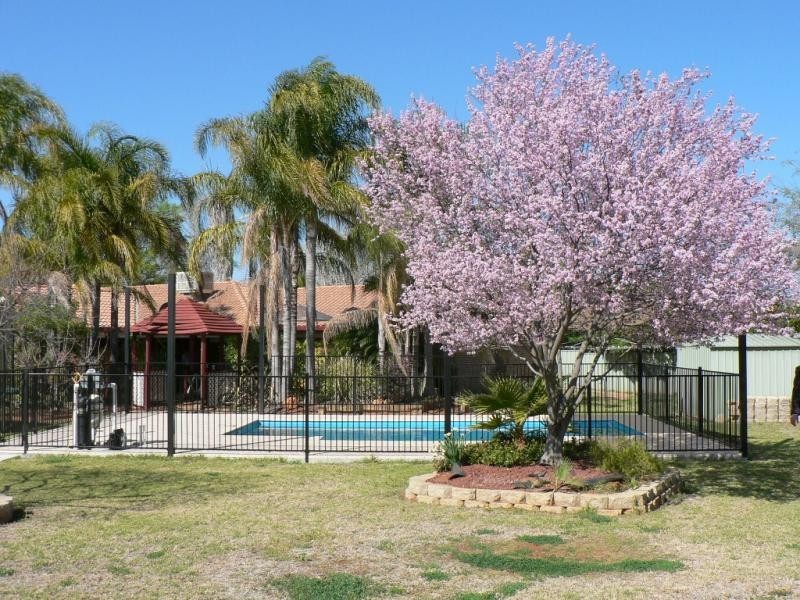 60 York St, Dubbo NSW 2830