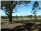 10L Terra Dr, Dubbo NSW 2830