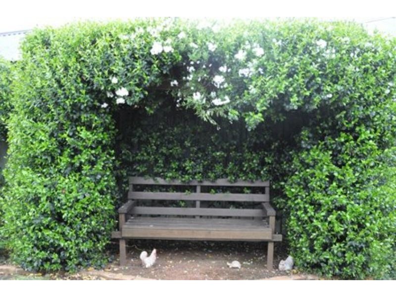 7 Manning Pl, Dubbo NSW 2830