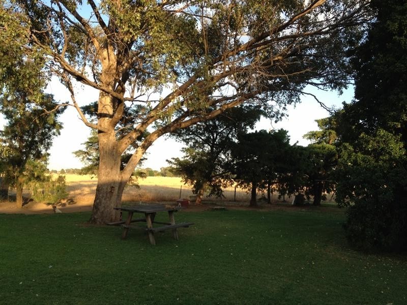 101 Nellie Vale Rd, Narromine NSW 2821