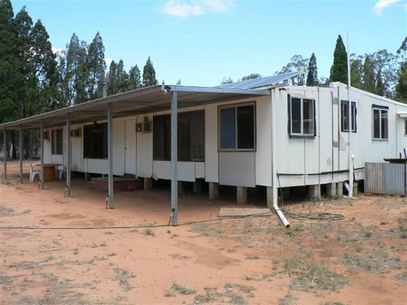 135 L  Wattle Rd, Elong Elong NSW 2831
