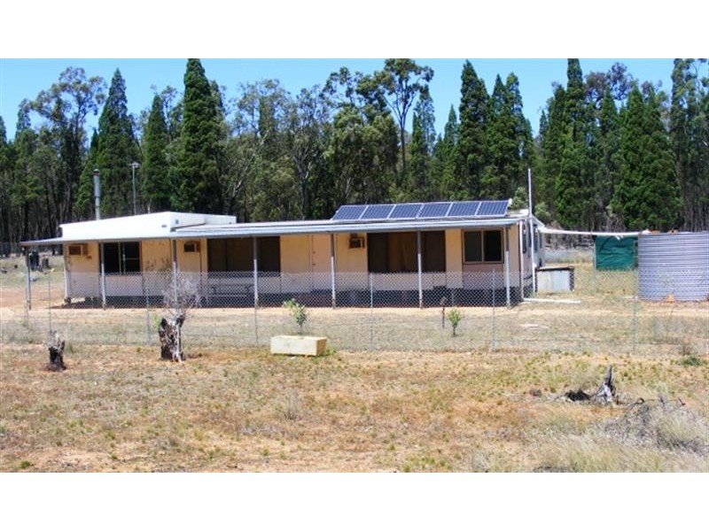 135 L  Wattle Rd, Elong Elong NSW 2831