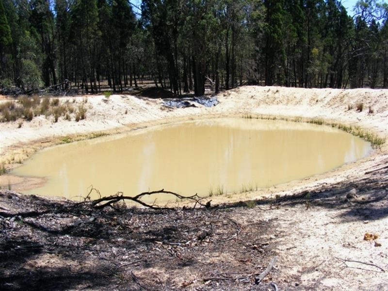 135 L  Wattle Rd, Elong Elong NSW 2831