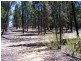 135 L  Wattle Rd, Elong Elong NSW 2831