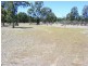 135 L  Wattle Rd, Elong Elong NSW 2831