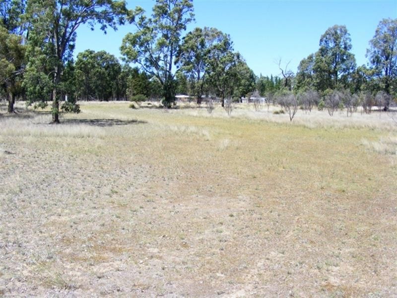 135 L  Wattle Rd, Elong Elong NSW 2831