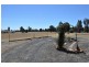 Lot 1 Domain  Cl, Mendooran NSW 2842