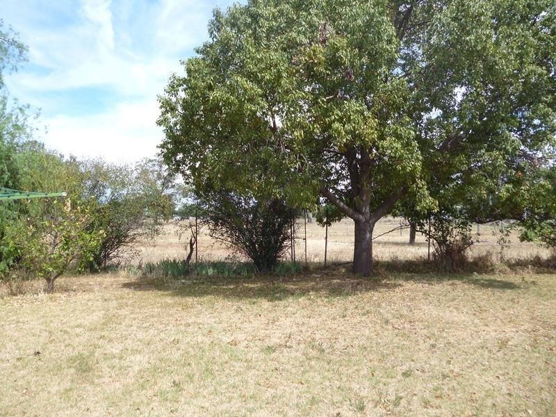 120 Bandulla  St, Mendooran NSW 2842