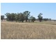 66 Riverview Rd, Gilgandra NSW 2827