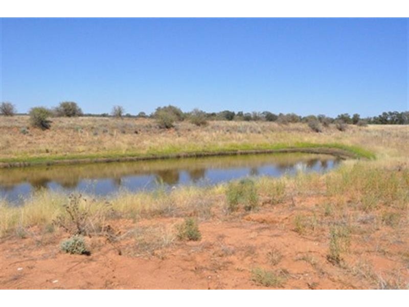 66 Riverview Rd, Gilgandra NSW 2827