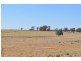 66 Riverview Rd, Gilgandra NSW 2827