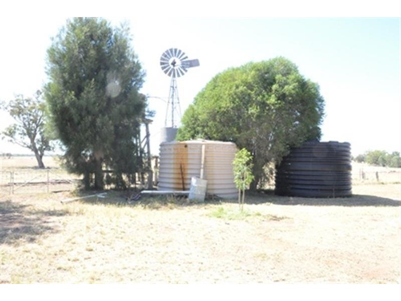 66 Riverview Rd, Gilgandra NSW 2827