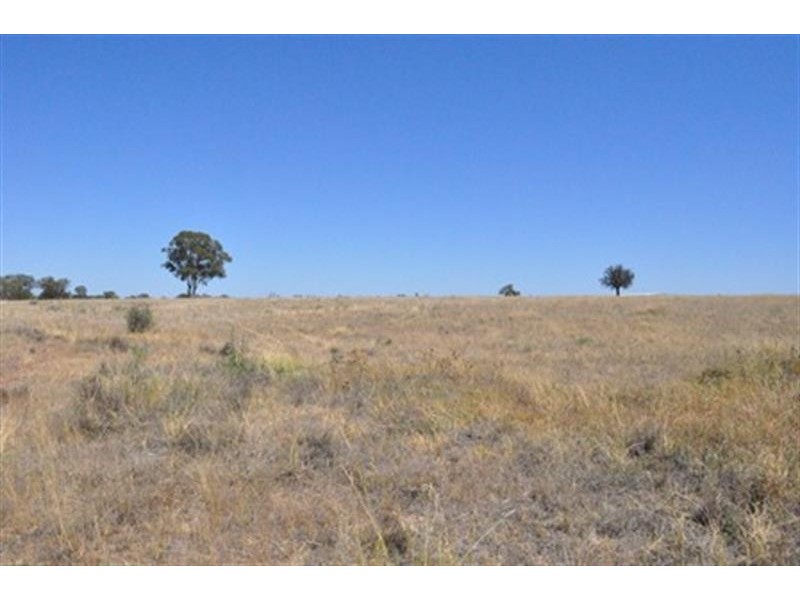 66  Riverview Rd, Gilgandra NSW 2827