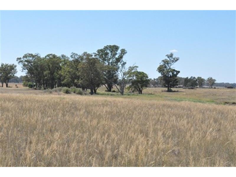 66  Riverview Rd, Gilgandra NSW 2827