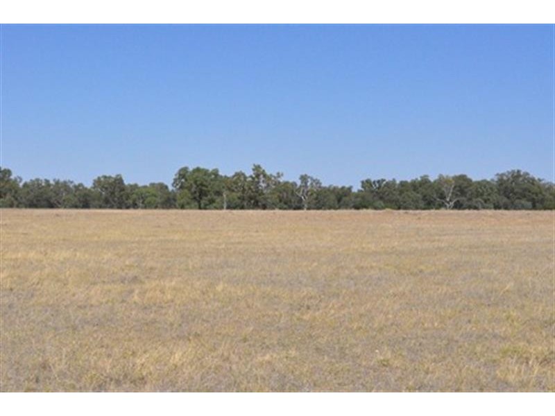 66  Riverview Rd, Gilgandra NSW 2827