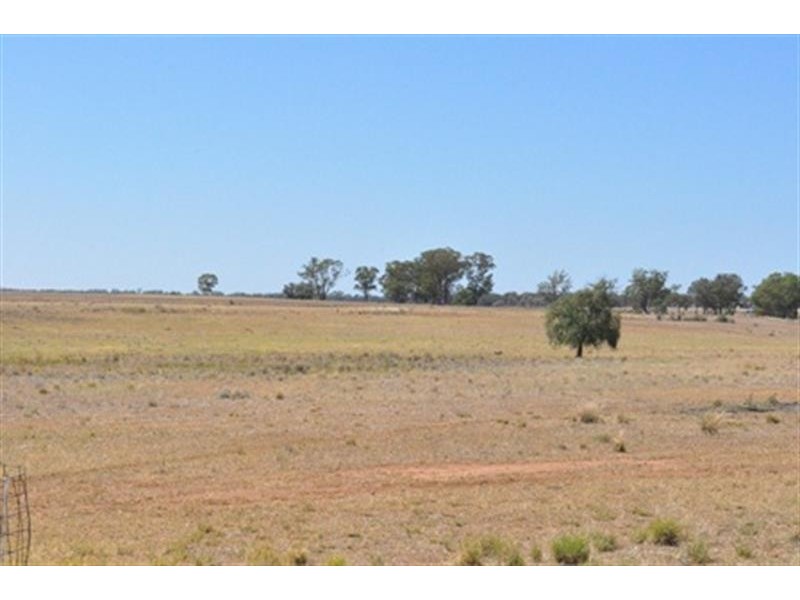 66  Riverview Rd, Gilgandra NSW 2827