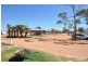 44 Harlequin St, Lightning Ridge NSW 2834