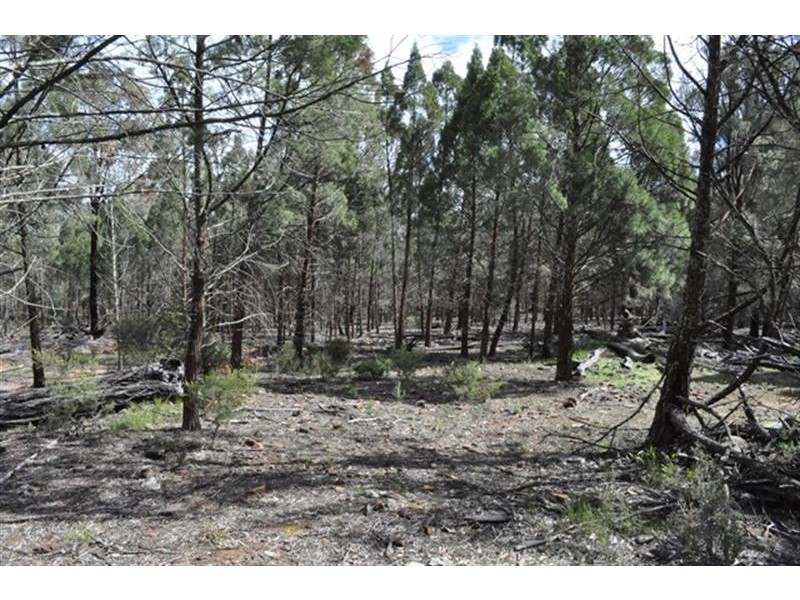 87L Mendooran  Rd, Dubbo NSW 2830