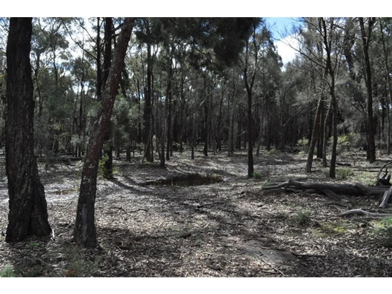 87L Mendooran  Rd, Dubbo NSW 2830