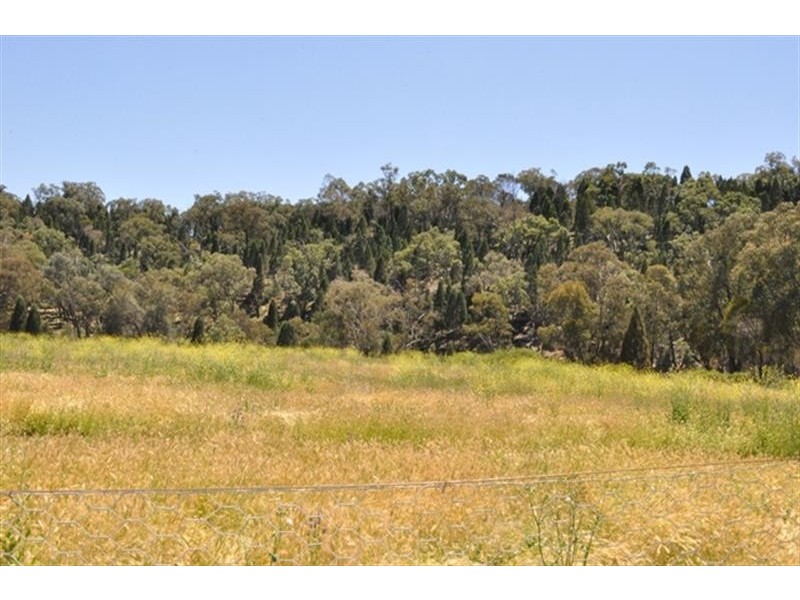 101R Old Mendooran Rd, Dubbo NSW 2830