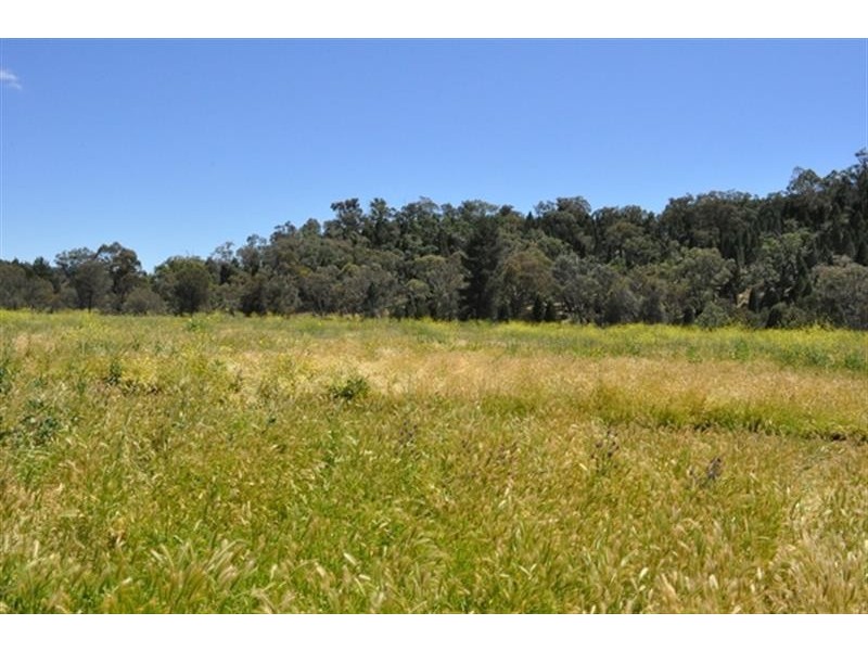 101R Old Mendooran Rd, Dubbo NSW 2830