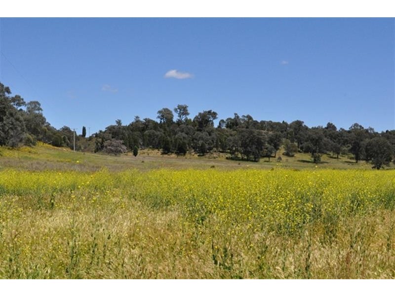 101R Old Mendooran Rd, Dubbo NSW 2830