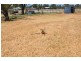 Lot 4 Cobboco Rd, Eumungerie NSW 2831