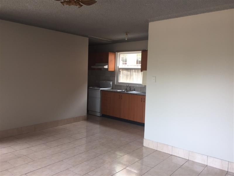 3/50 Amy St, Campsie NSW 2194