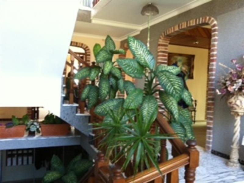 20 Bevan Pl, Carlingford NSW 2118