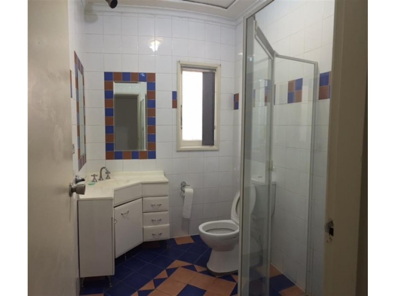 44 Carlton Pde, Punchbowl NSW 2196