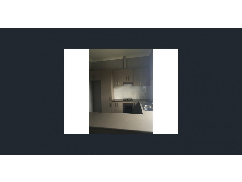 125 Lodges Road, Elderslie NSW 2570