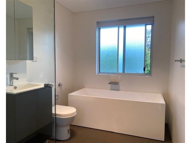 18a Lion Street, Croydon NSW 2132