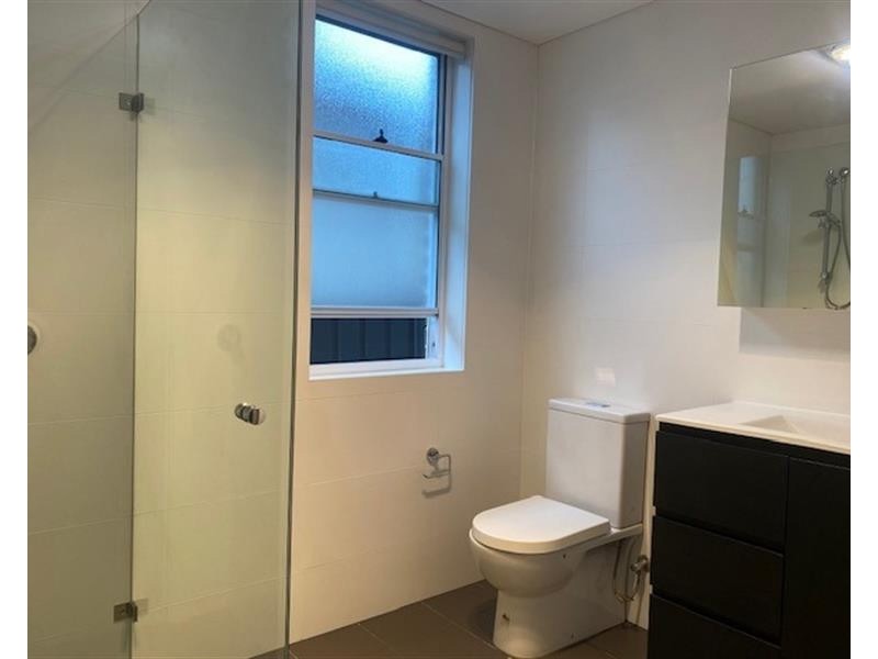 18a Lion Street, Croydon NSW 2132