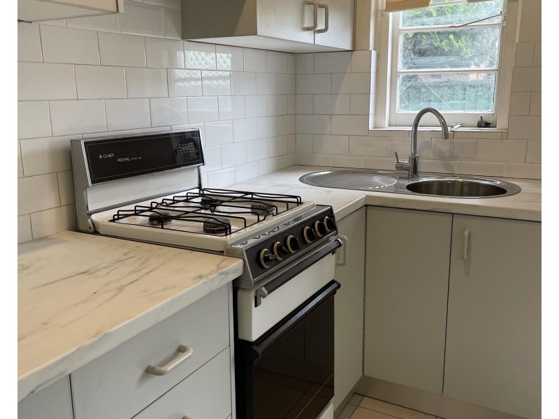 3 Rose Street, Ashfield NSW 2131