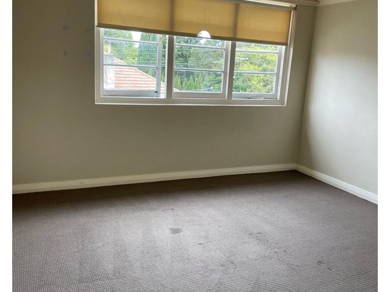 4/3 Rose Street, Ashfield NSW 2131