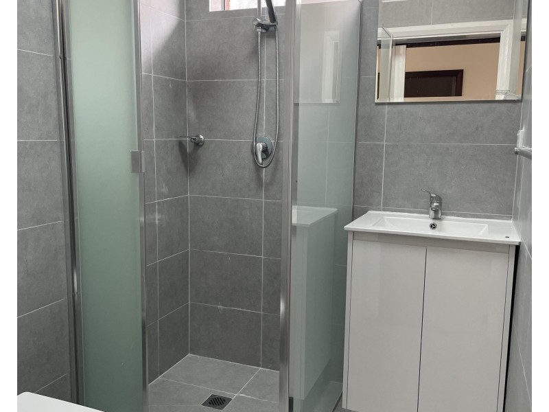 27 Carrisbrook Avenue, Punchbowl NSW 2196