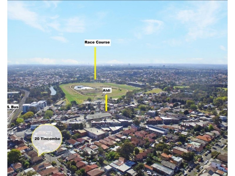 20 Tincombe Street, Canterbury NSW 2193