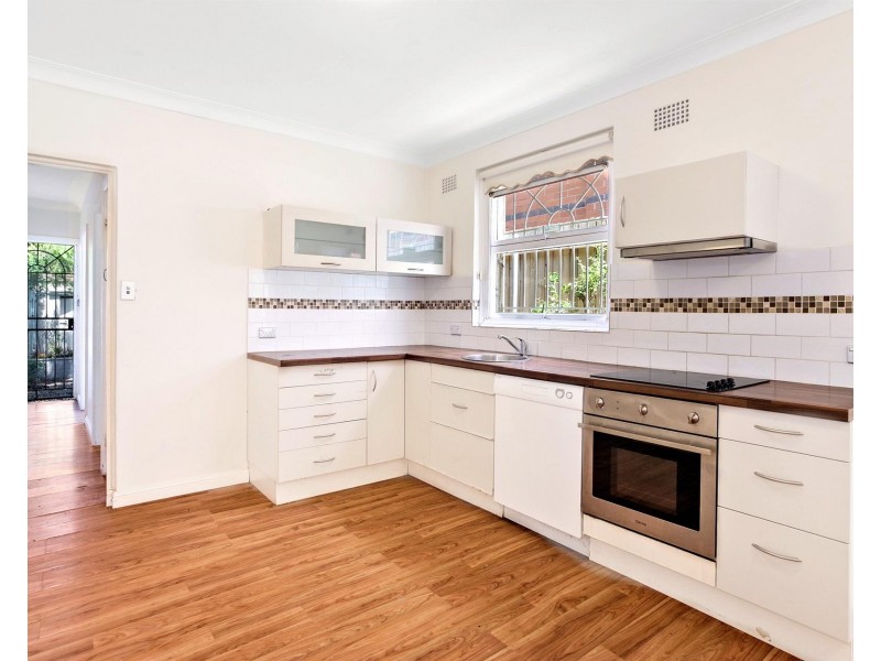 66 Park Avenue, Ashfield NSW 2131
