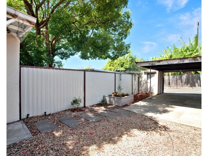 66 Park Avenue, Ashfield NSW 2131