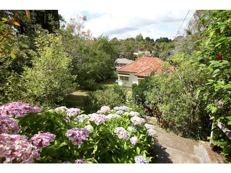 Asquith NSW 2077