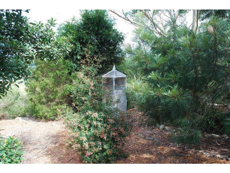 8 Lancelot St, Mount Colah NSW 2079