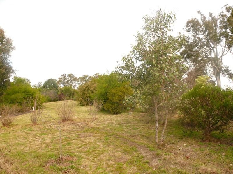 530 Candelo Wolumla  Rd, Wolumla NSW 2550