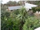 1 Beverley  St, Merimbula NSW 2548