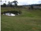 5 Millingandi Rd, Millingandi NSW 2549