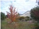 5 Millingandi Rd, Millingandi NSW 2549