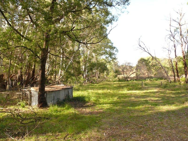 710 New Buildings Rd, Wyndham NSW 2550