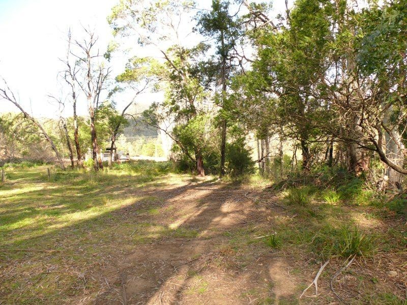 710 New Buildings Rd, Wyndham NSW 2550