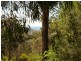 16 Beverley  St, Merimbula NSW 2548