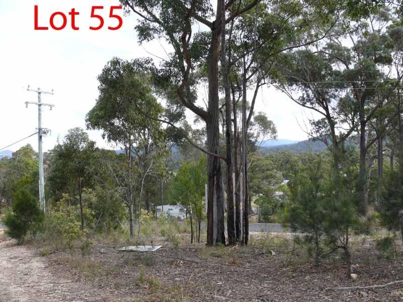 Lot 55 White Fox Rd, Pambula NSW 2549
