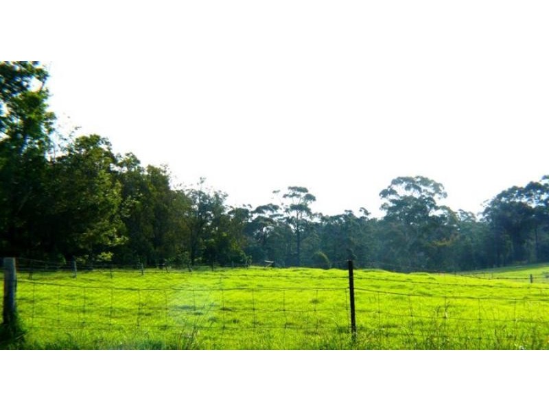 Lot 89 Nethercote Rd, Greigs Flat NSW 2549